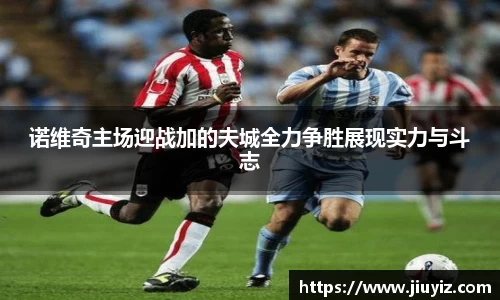 诺维奇主场迎战加的夫城全力争胜展现实力与斗志